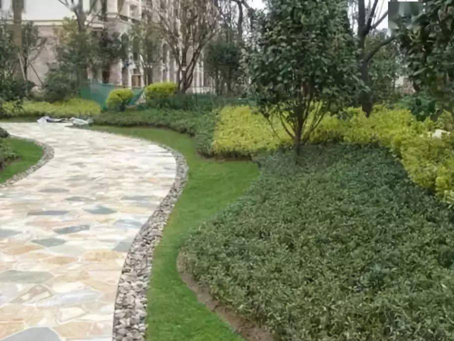 小区绿化养护方法